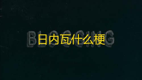 暗区修改器120帧免费日内瓦什么梗